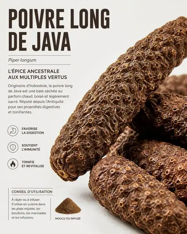 Gros plan sur des épis de poivre long de Java séchés pour la cuisine