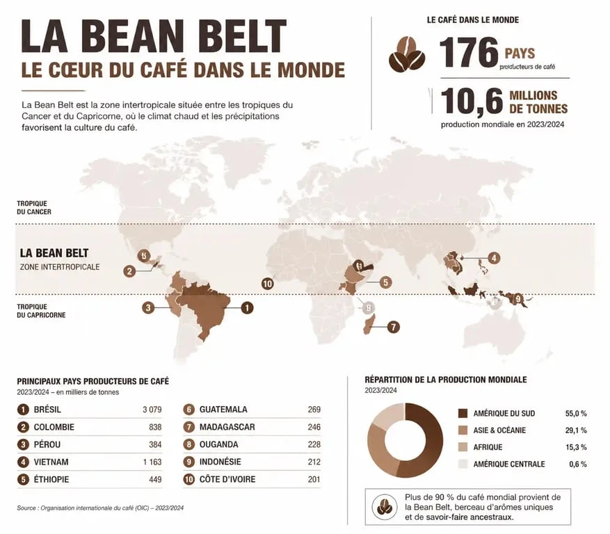 Carte mondiale de la zone de production de café ou Bean Belt avec les principaux pays producteurs