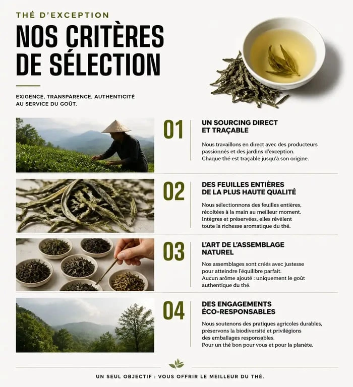 Infographie des critères pour choisir la meilleure marque de thé : sourcing, feuilles entières et labels